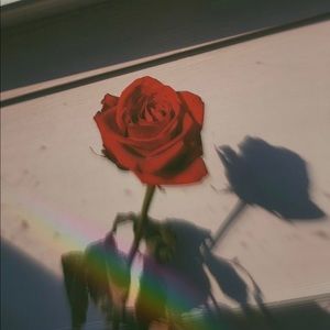 Meet your Posher, Alisson